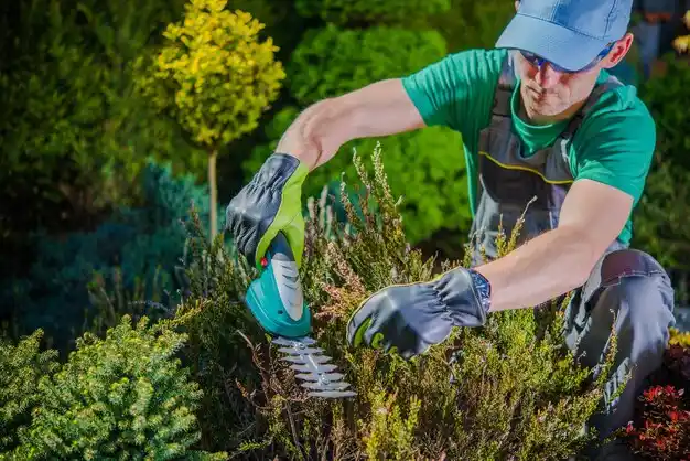 landscaping services London